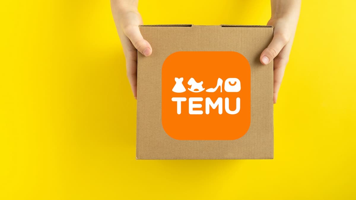 Wie lässt sich die Temu Einfuhrsteuer vermeiden oder minimieren?