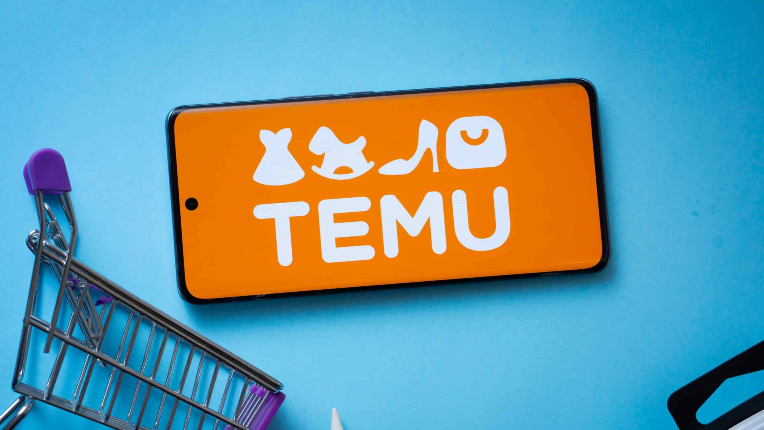 Welche Vorteile bietet das Temu-Treueprogramm für Nutzer?